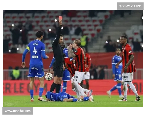 法甲南特球迷成功抗议票价上涨 赢得降价承诺